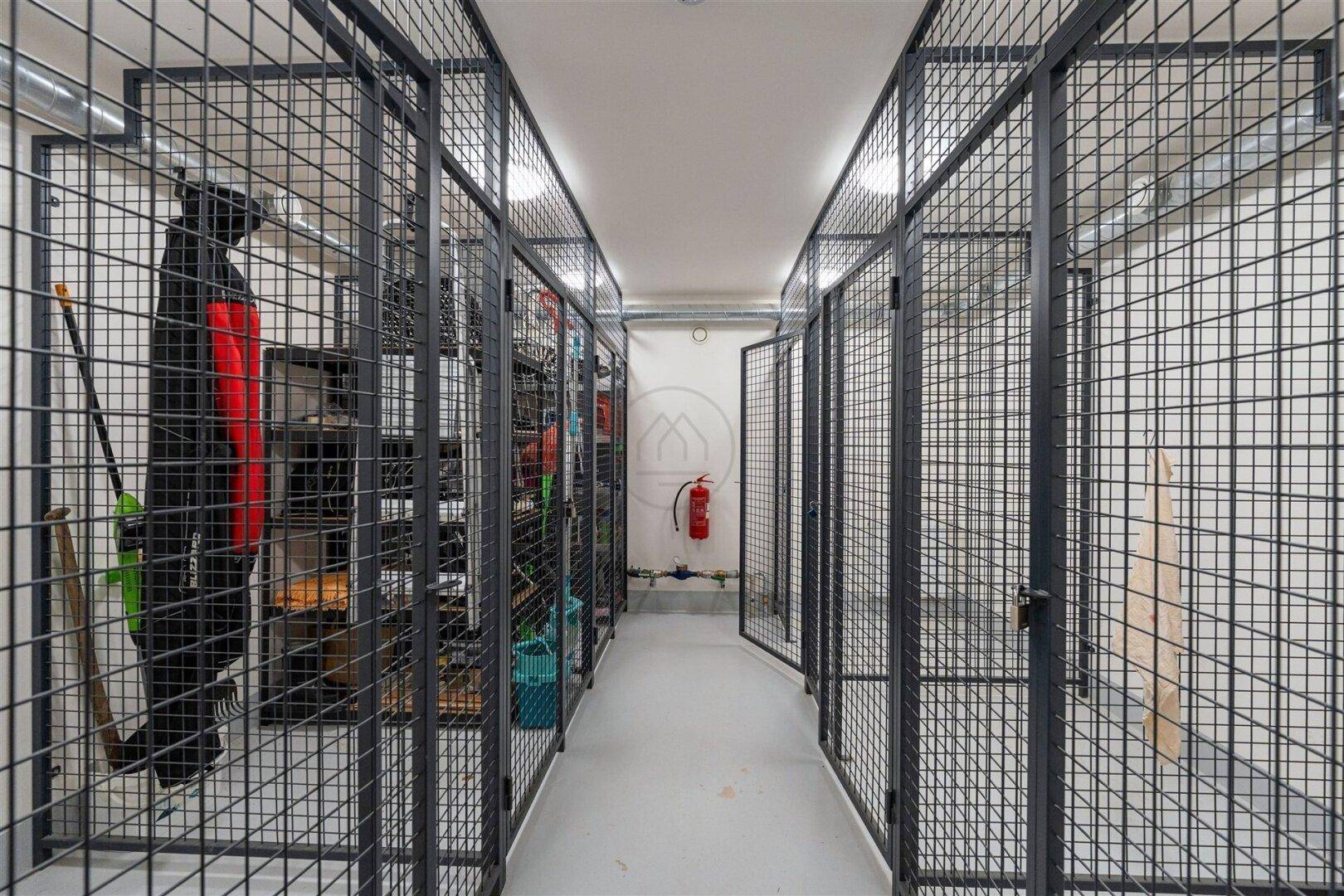 Geräumiger Kellerraum mit abschließbaren Gitterboxen für zusätzlichen Stauraum.