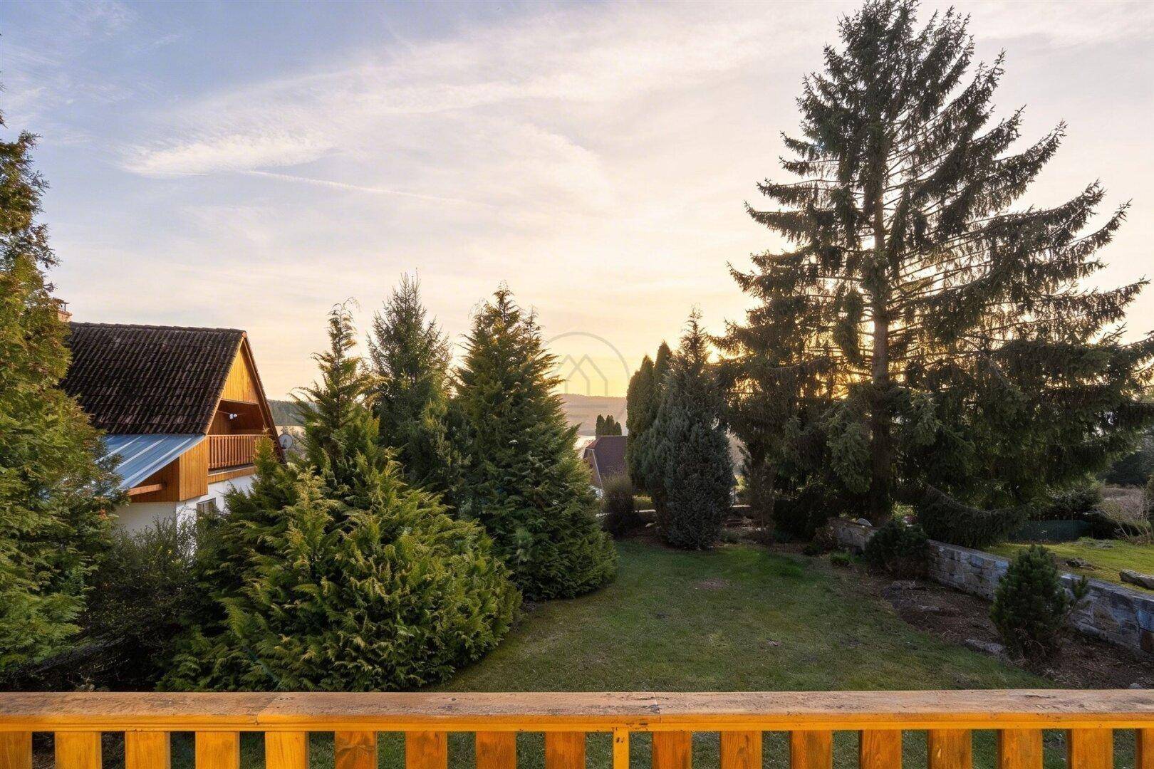 Malerischer Ausblick auf die umliegende grüne Landschaft und hohe Bäume bei Sonnenuntergang.
