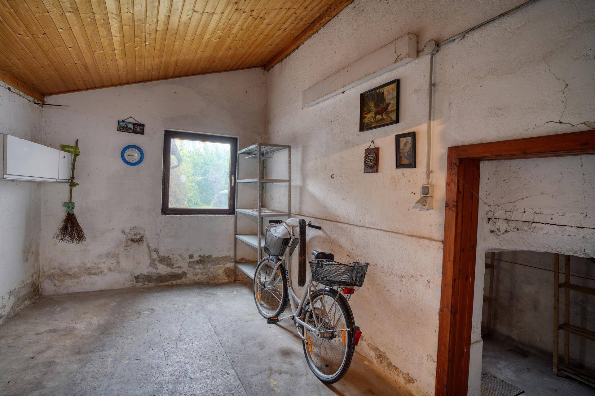 Geräumiger Kellerraum mit Fenster, Regal und einem Fahrrad, ideal als Abstellraum.
