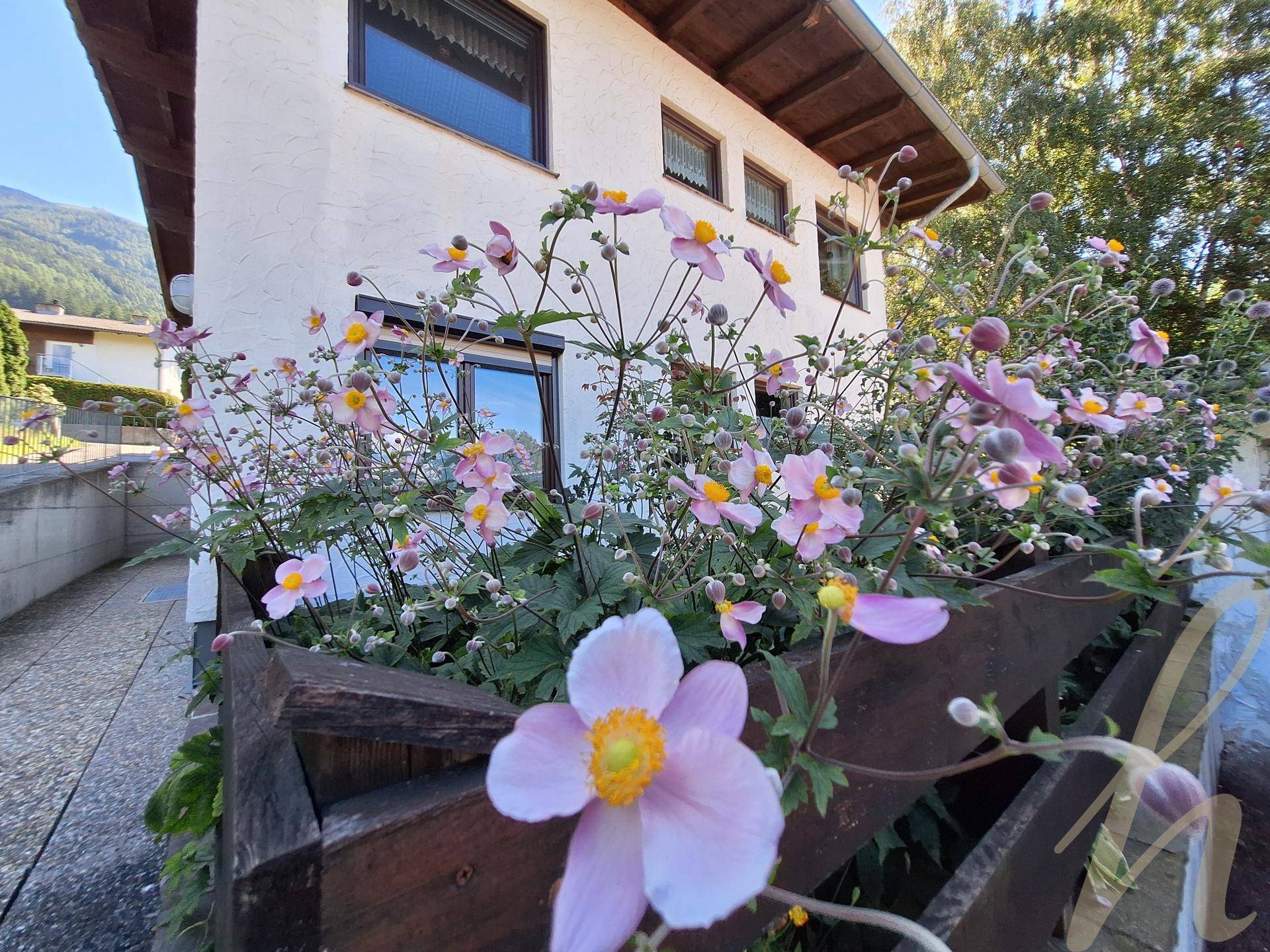 Hausfassade mit blühenden rosa Blumen im Vordergrund und Bergen im Hintergrund.