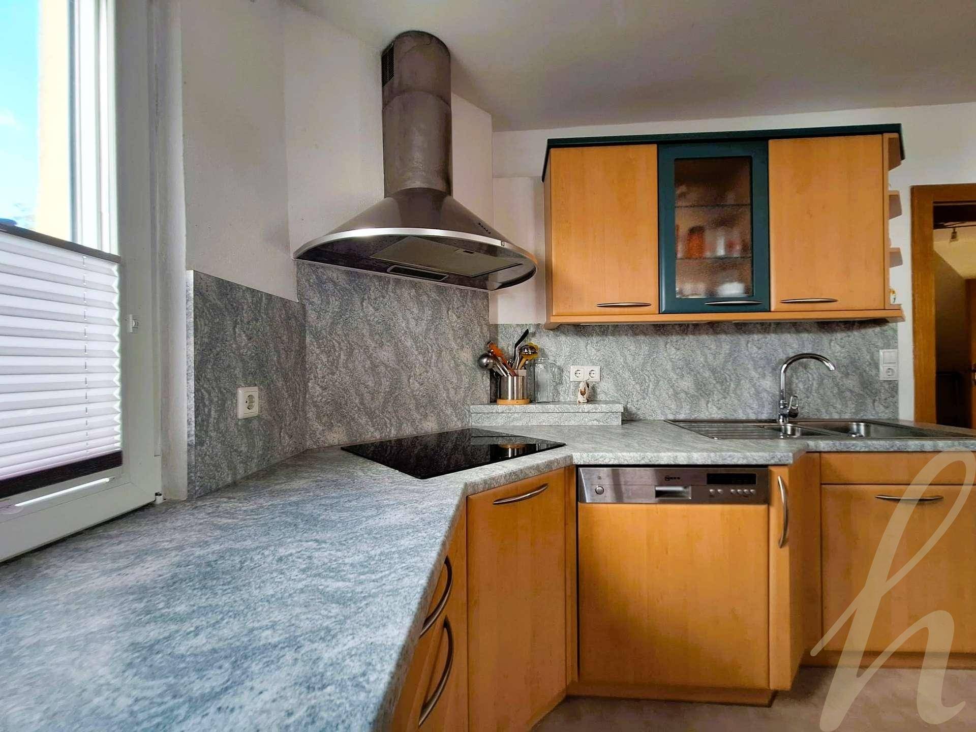 Detailansicht der Küche mit Induktionskochfeld, Geschirrspüler und Spülbecken.