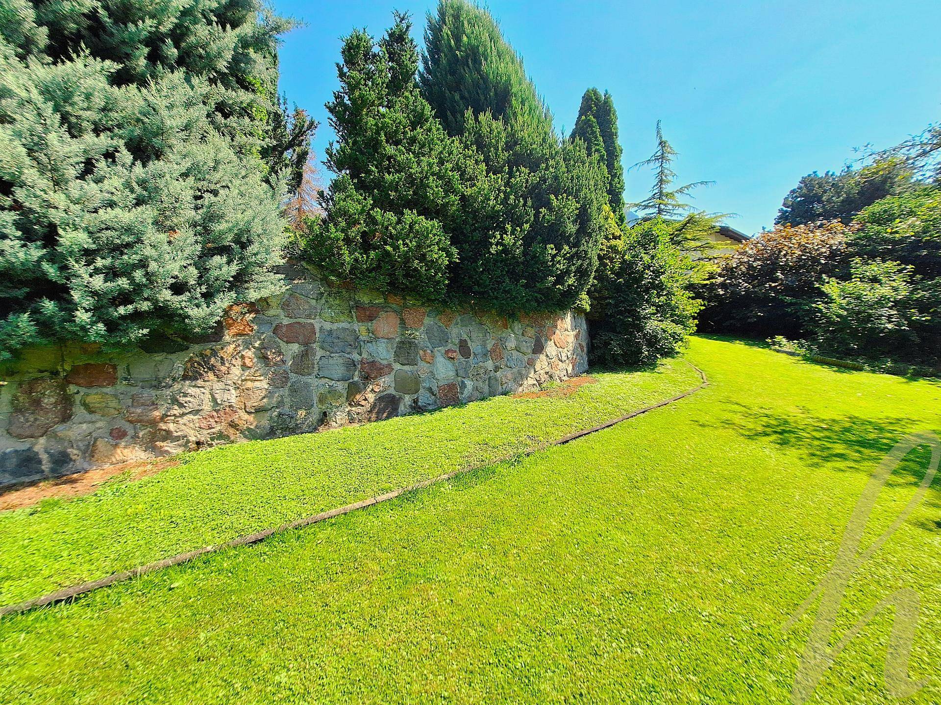 Gepflegter Gartenabschnitt mit einer markanten Natursteinmauer und dichten Nadelbäumen unter strahlend blauem Himmel.