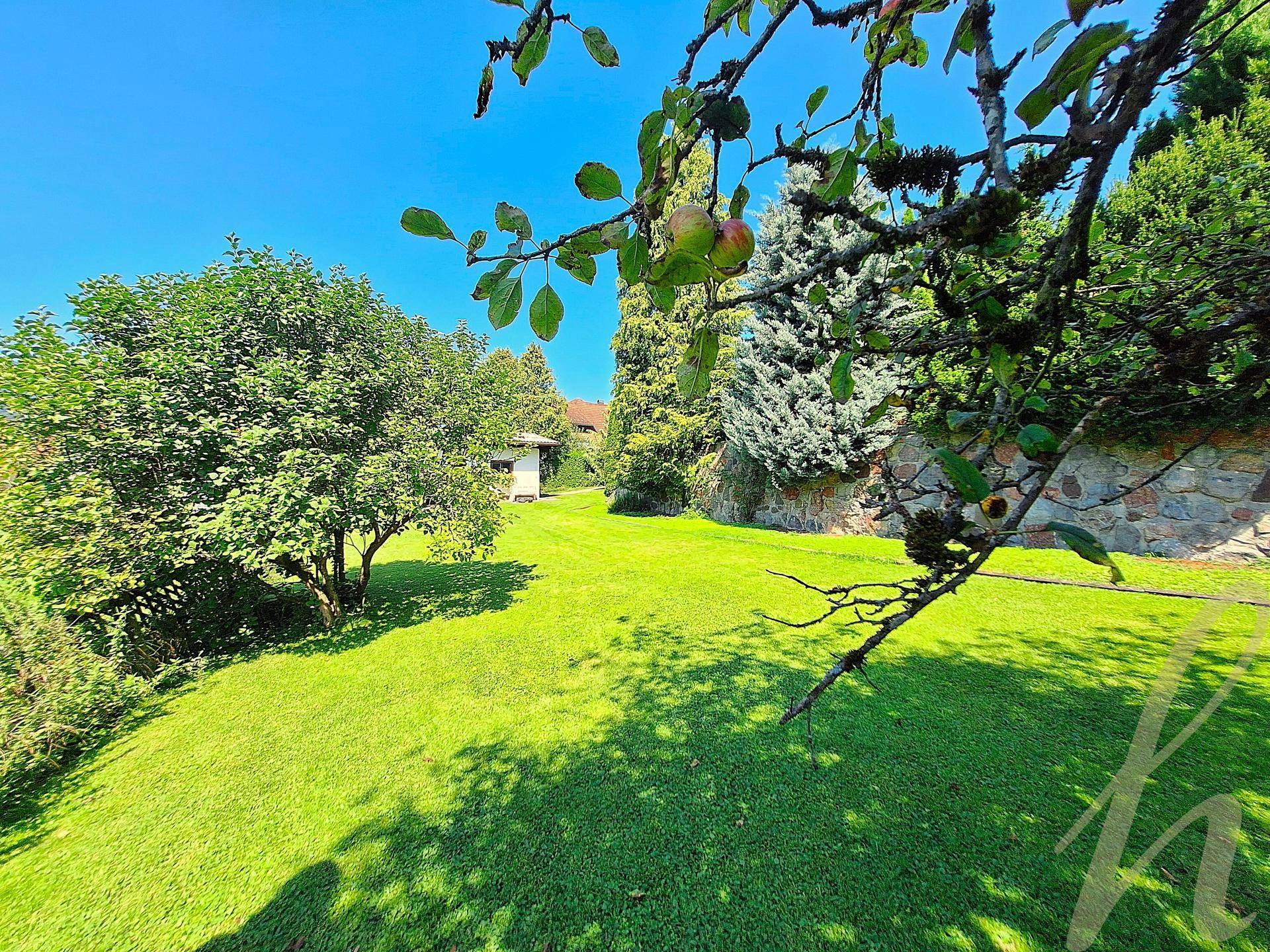 Sonniger Gartenbereich mit weitläufigem Rasen, Obstbäumen und einer rustikalen Steinmauer im Hintergrund.