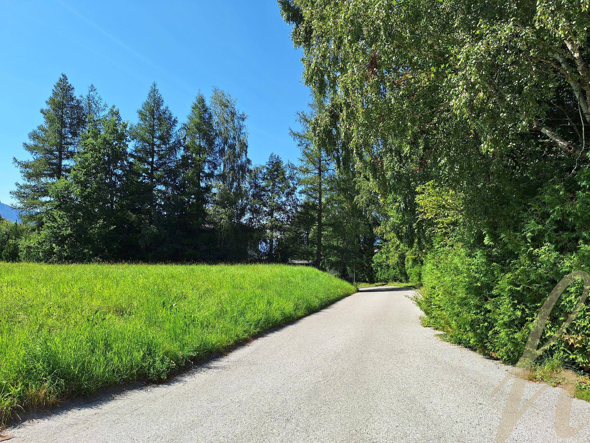 Eine ländliche Straße führt entlang eines grünen Feldes, umgeben von Bäumen unter blauem Himmel.