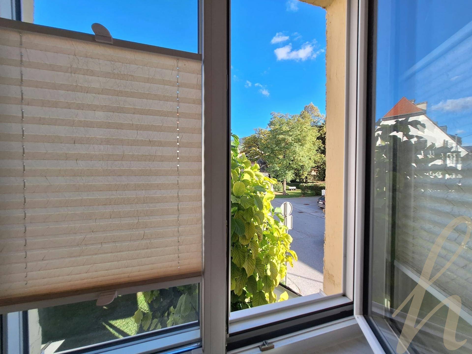 Blick aus dem Fenster auf eine grüne Straße mit Bäumen und umliegenden Gebäuden.