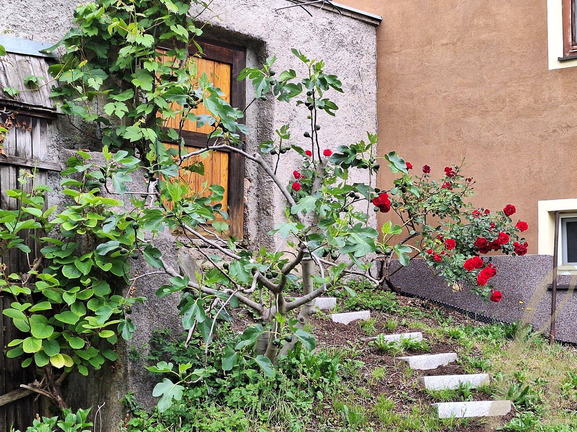 Petra Huber Immobilien TIROL