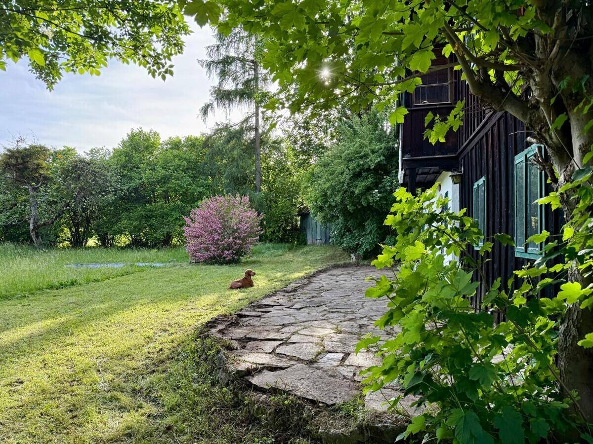Sonniger Gartenbereich mit Steinterrasse, Rasenfläche und blühendem Strauch neben dem Haus.