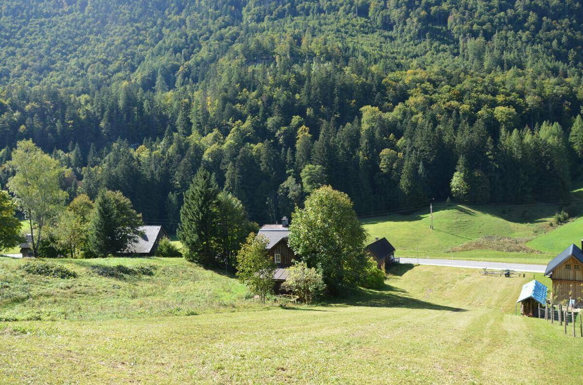 Ruhige ländliche Szene mit traditionellen Häusern, umgeben von üppigen Wäldern und grünen Wiesen.