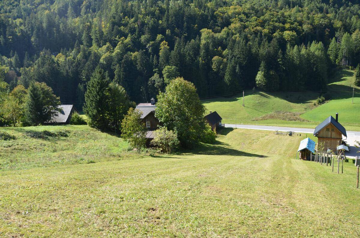 Panoramablick auf eine grüne Hügellandschaft mit verstreuten Häusern und einem Wald am Horizont.
