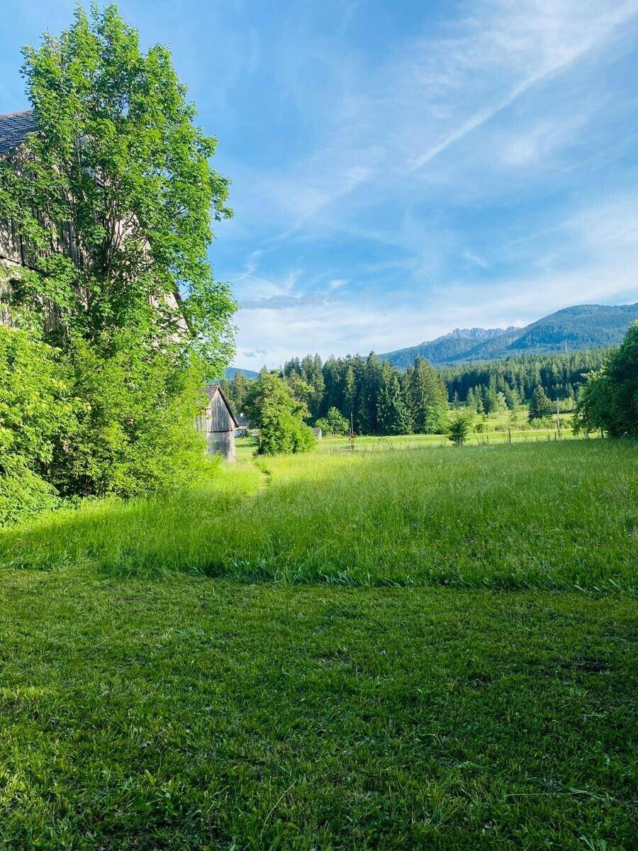 Idyllische Landschaft mit weiten Wiesen, Wäldern und majestätischen Bergen im Hintergrund.
