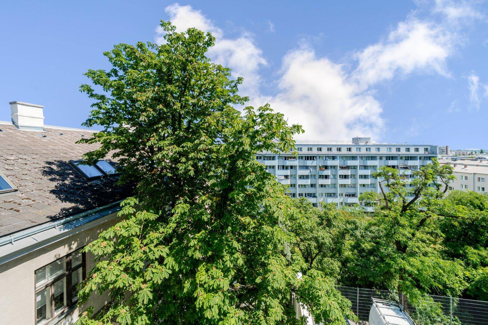 Blick aus dem Fenster auf einen großen grünen Baum, ein Gebäude mit blauer Fassade und Dächer mit Dachfenstern.