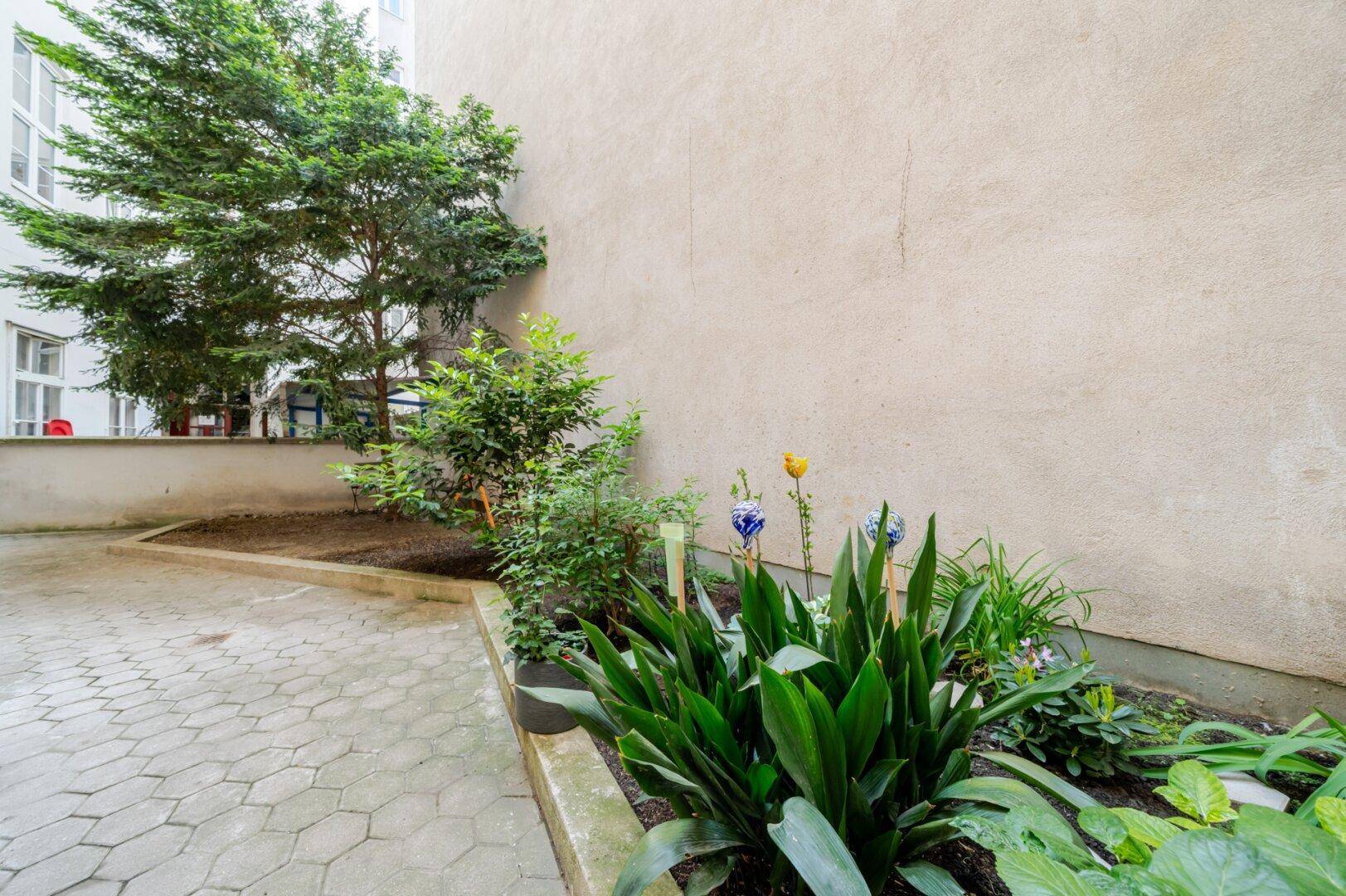 Kleiner, gepflegter Gartenbereich in einem Innenhof mit verschiedenen Pflanzen und Bäumen.