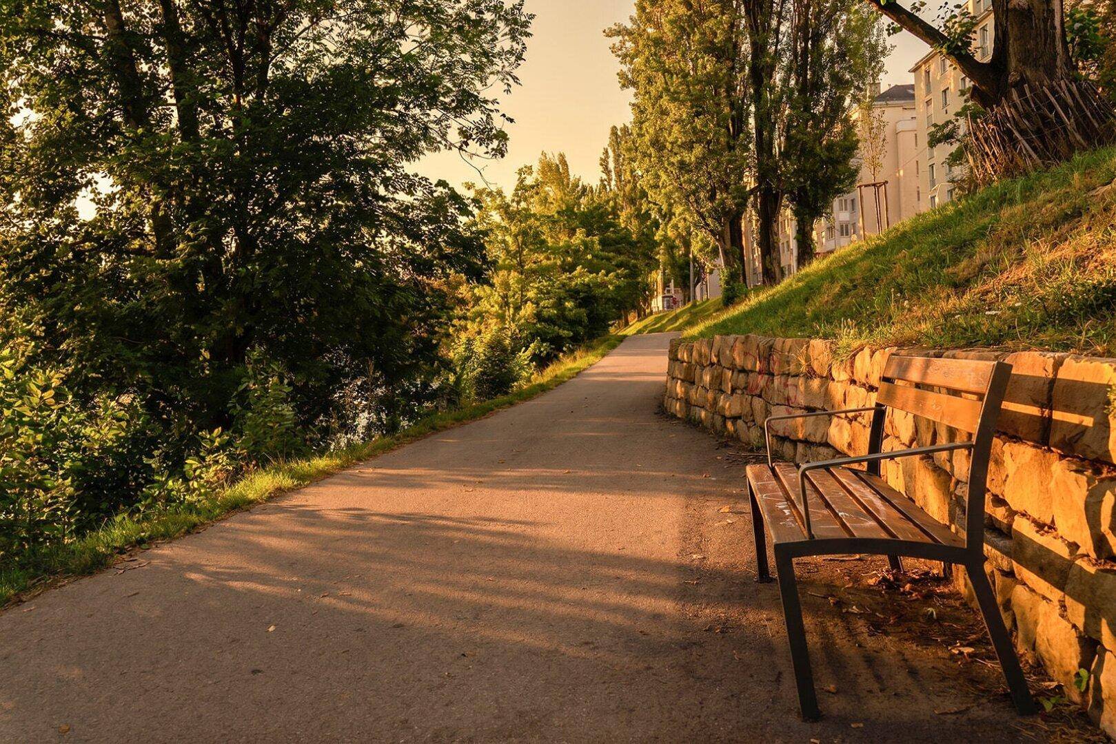 Ein sonniger Spazierweg mit einer Holzbank entlang einer Steinmauer, umgeben von Bäumen und mit Gebäuden im Hintergrund.