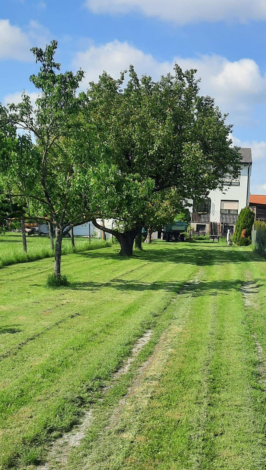 Großer grüner Garten mit Rasenfläche und alten Bäumen unter blauem Himmel.