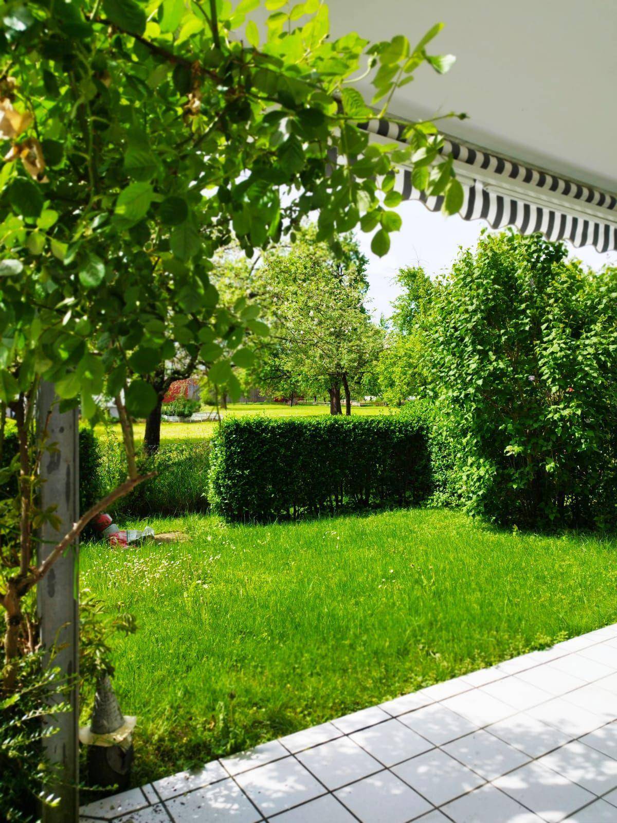 Gepflegter Garten mit Rasenfläche, Hecken, Bäumen und einer kleinen gefliesten Terrasse.
