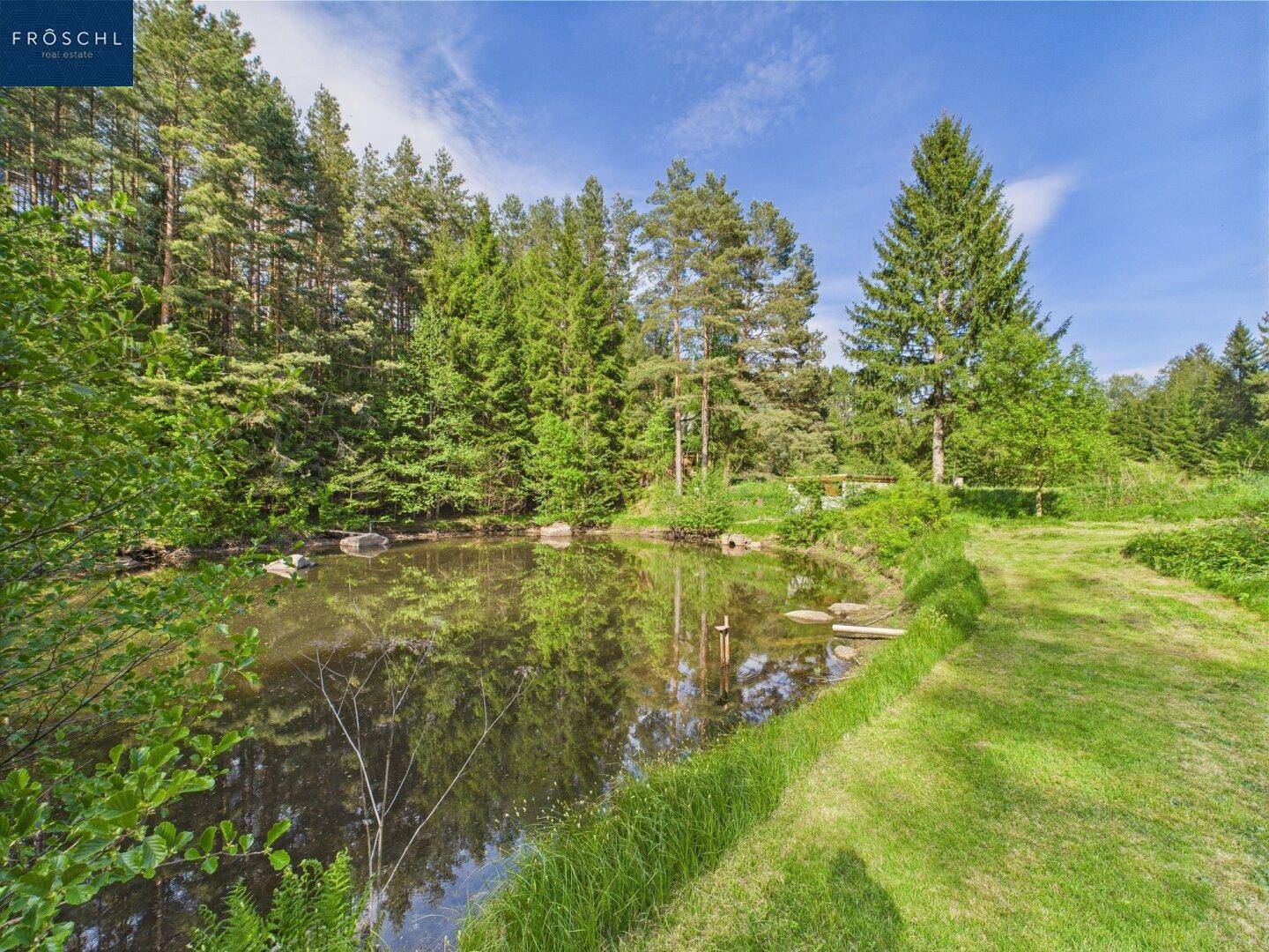 Weg zum Teich 2