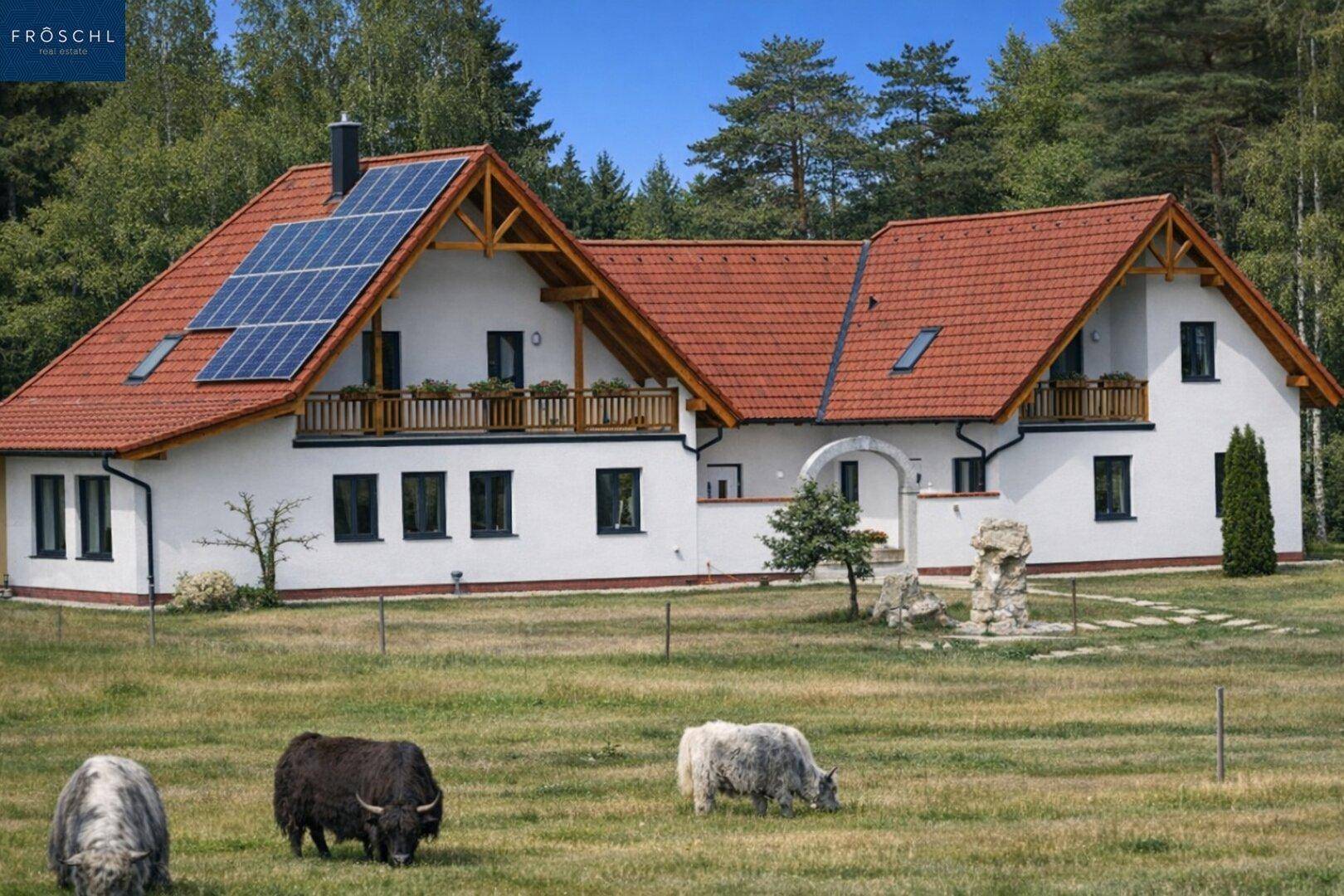 Charmantes Landhaus mit rotem Ziegeldach, Photovoltaikanlage und weidenden Tieren im Vordergrund.