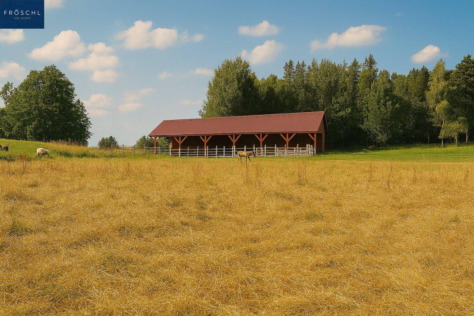 Weitläufiges Feld mit einem offenen Holzunterstand und Wald im Hintergrund unter blauem Himmel.