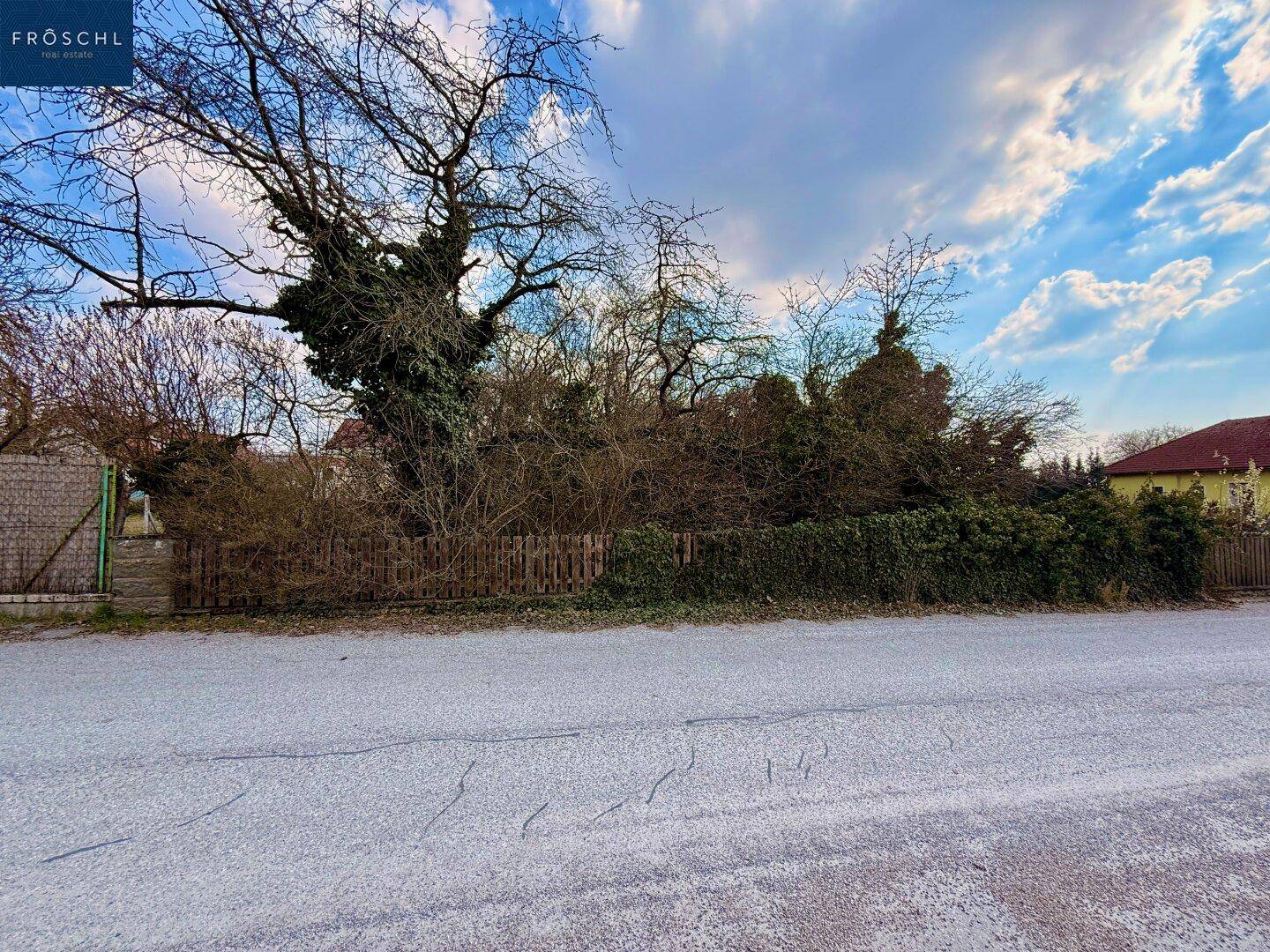 Blick von der Straße auf das Grundstück mit dichter Bepflanzung und Zaun.