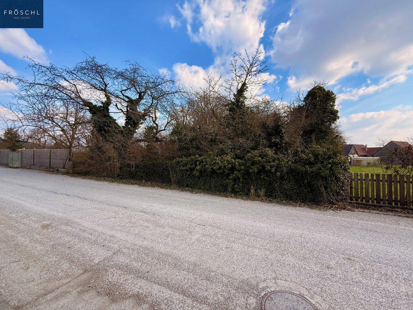 Ansicht der Grundstücksgrenze von der Straße aus mit dichtem Bewuchs und Holzzaun.
