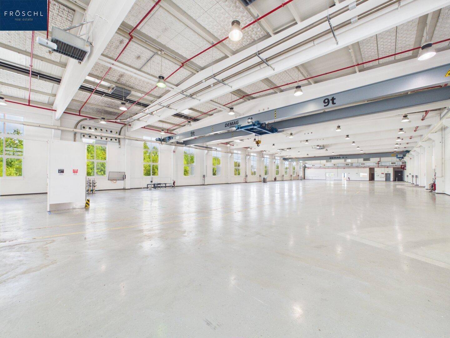 Geräumige Industriehalle mit Betonboden, hohen Decken und großen Fenstern, ideal für Produktion oder Lager.