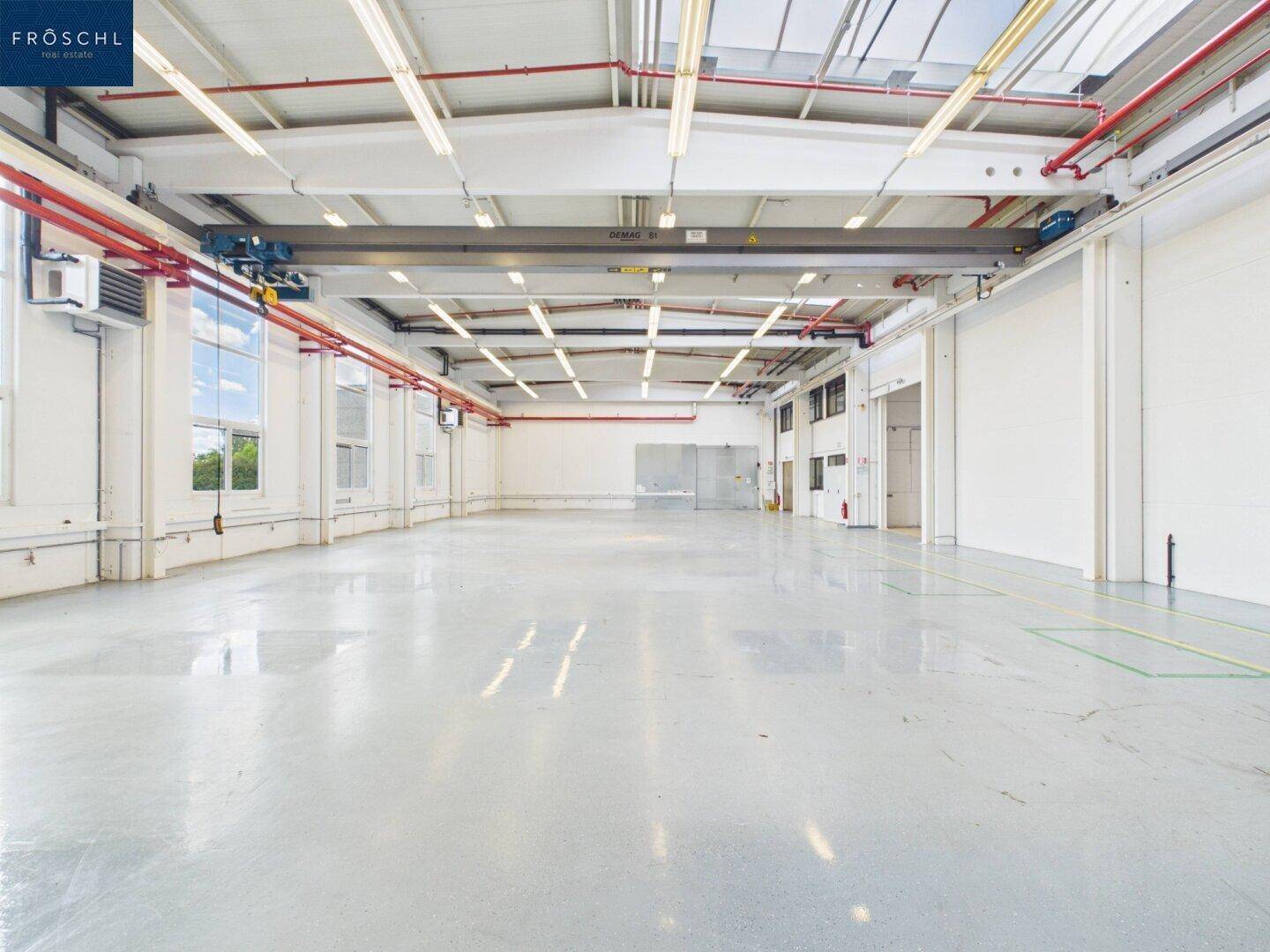 Helle Industriehalle mit Betonboden, hohen Decken und großen Fenstern, bietet viel Platz.