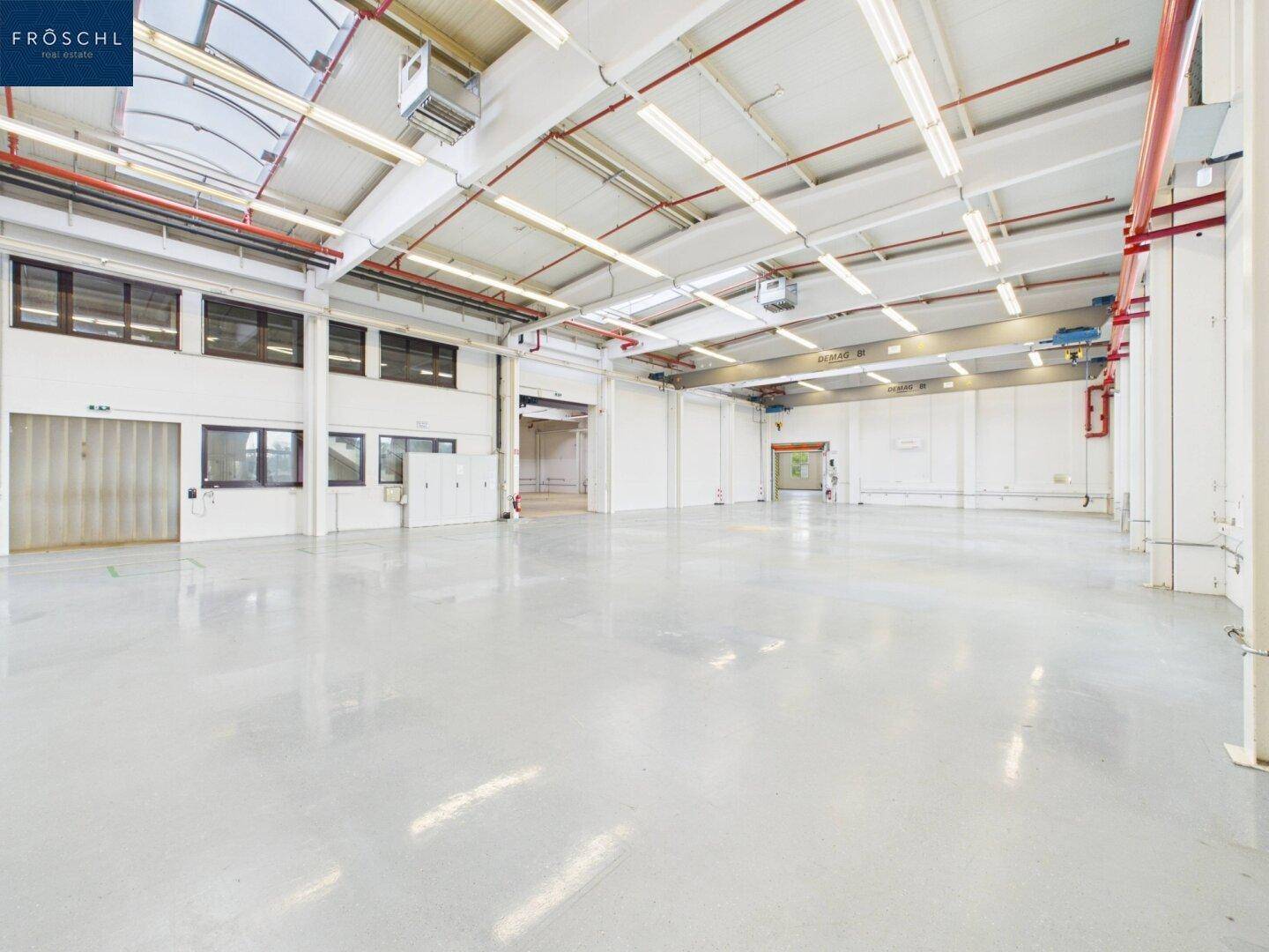 Weitläufige Lagerhalle mit hohen Decken, Oberlichtern und einem Zwischengeschoss mit Fenstern.