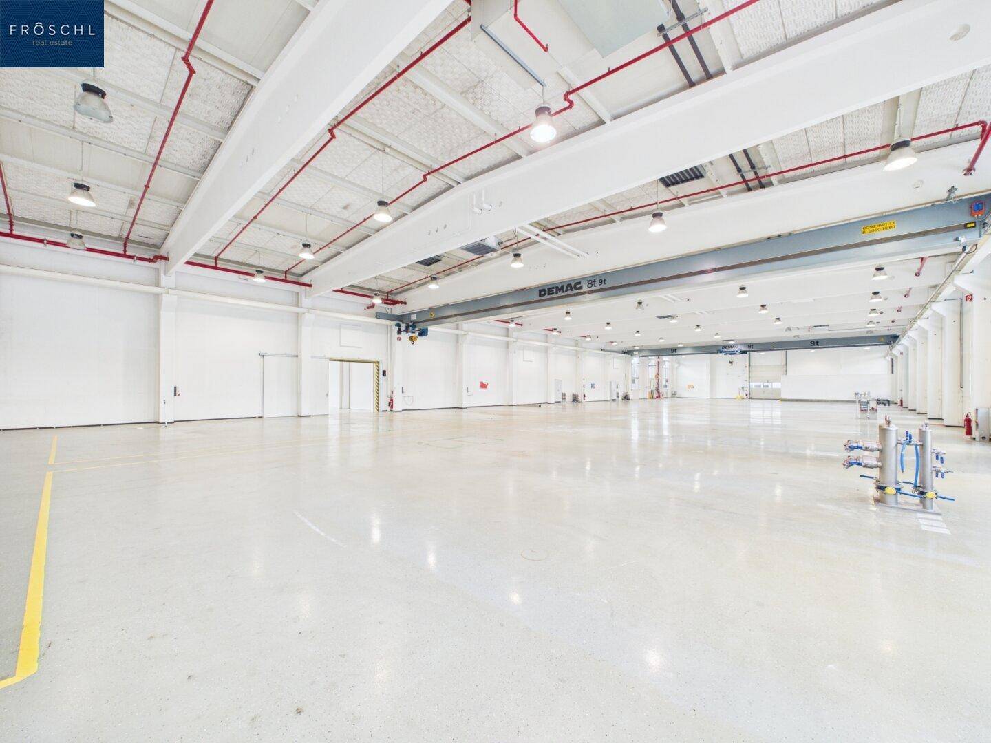 Geräumige Lagerhalle mit sauberem Betonboden, hohen Decken und sichtbaren roten Rohrleitungen.