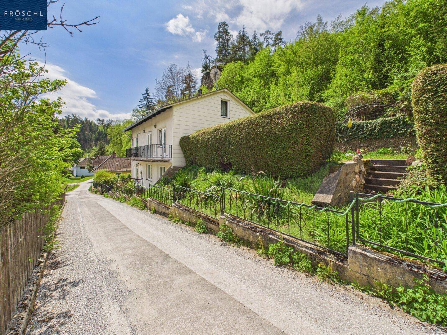 Zufahrt zum Haus, umgeben von viel Grün und einer gepflegten Hecke.