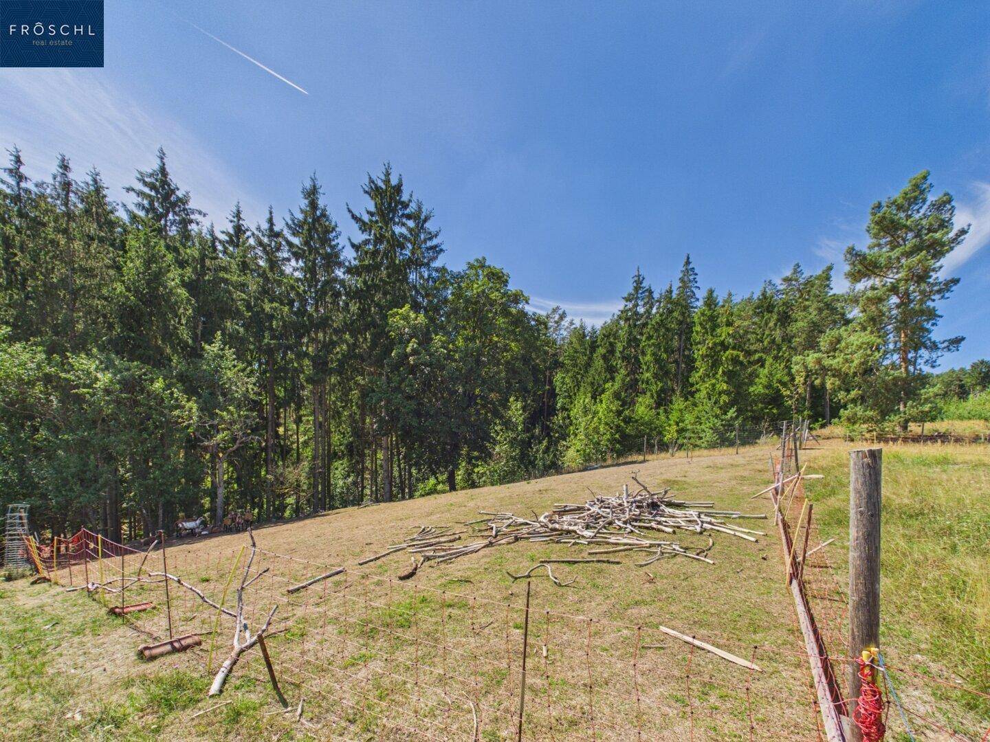 Weitläufiges Feld mit Holzstapeln und Waldrand unter strahlend blauem Himmel.