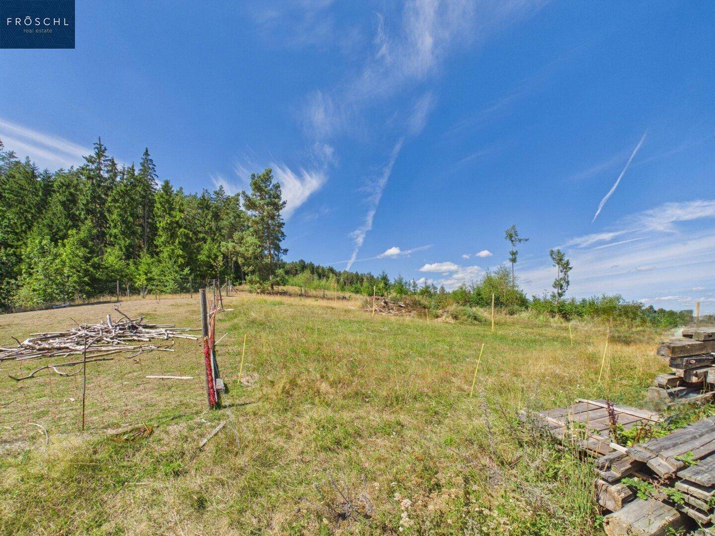 Weitläufiges Feld mit Holzstapeln und Waldrand unter strahlend blauem Himmel.