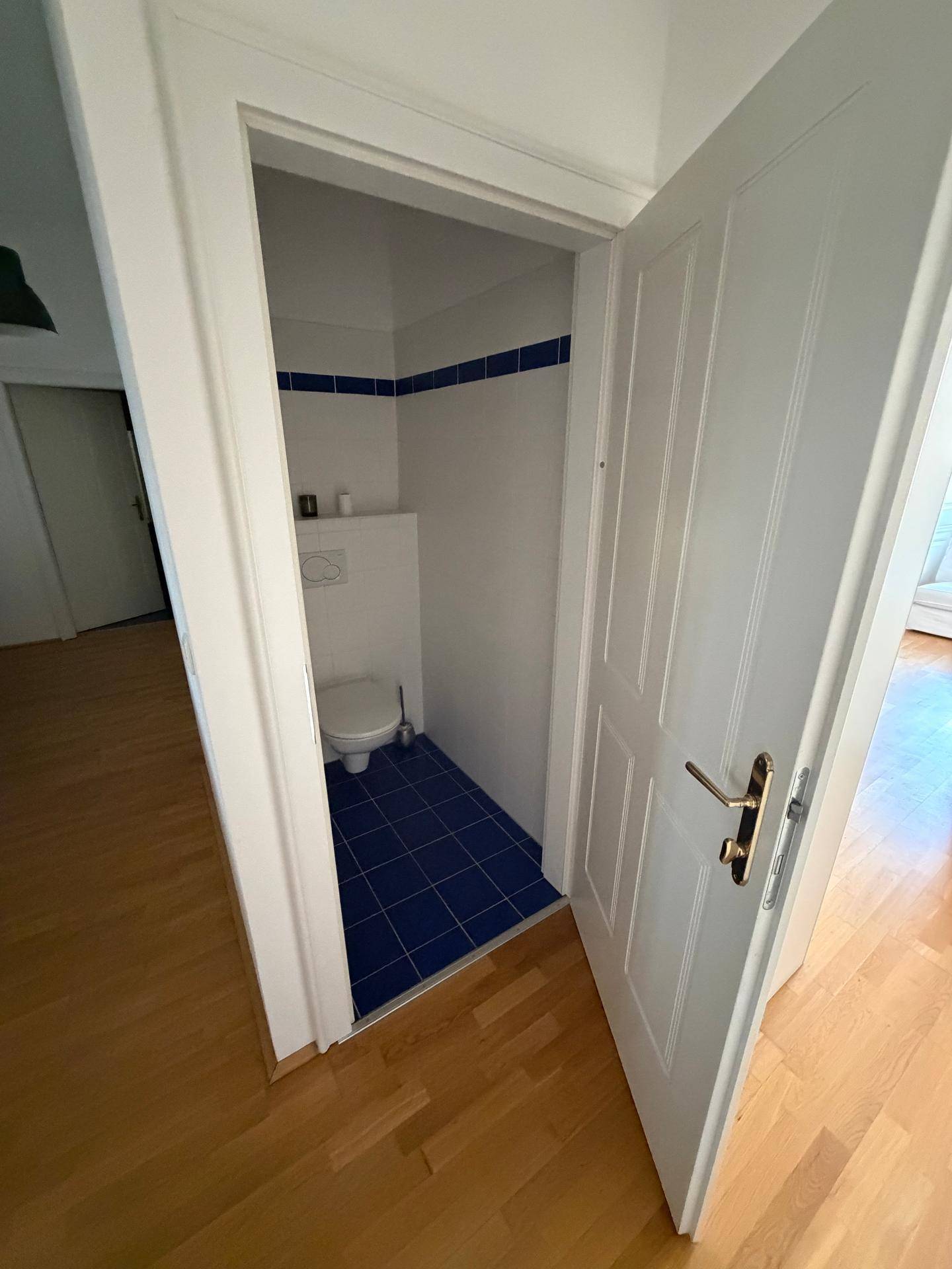 Kleines Gäste-WC mit blauen Bodenfliesen und Wand-WC, sauber und funktional.