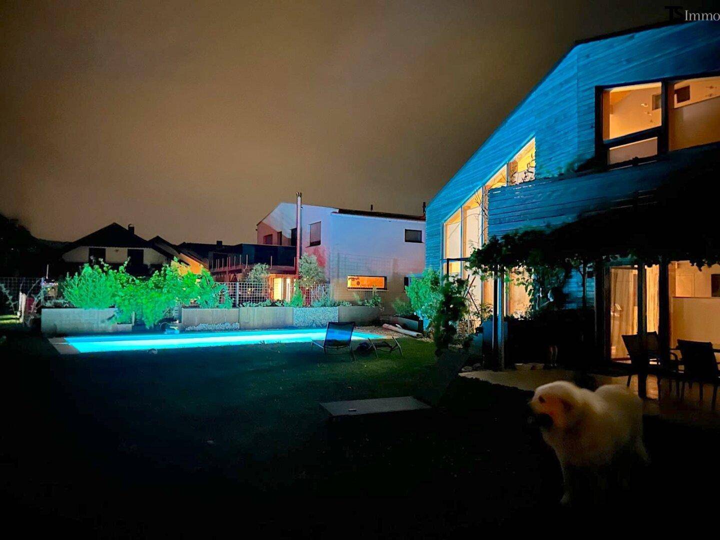 Das moderne Haus und der beleuchtete Pool bei Nacht, mit einem Hund im Vordergrund.