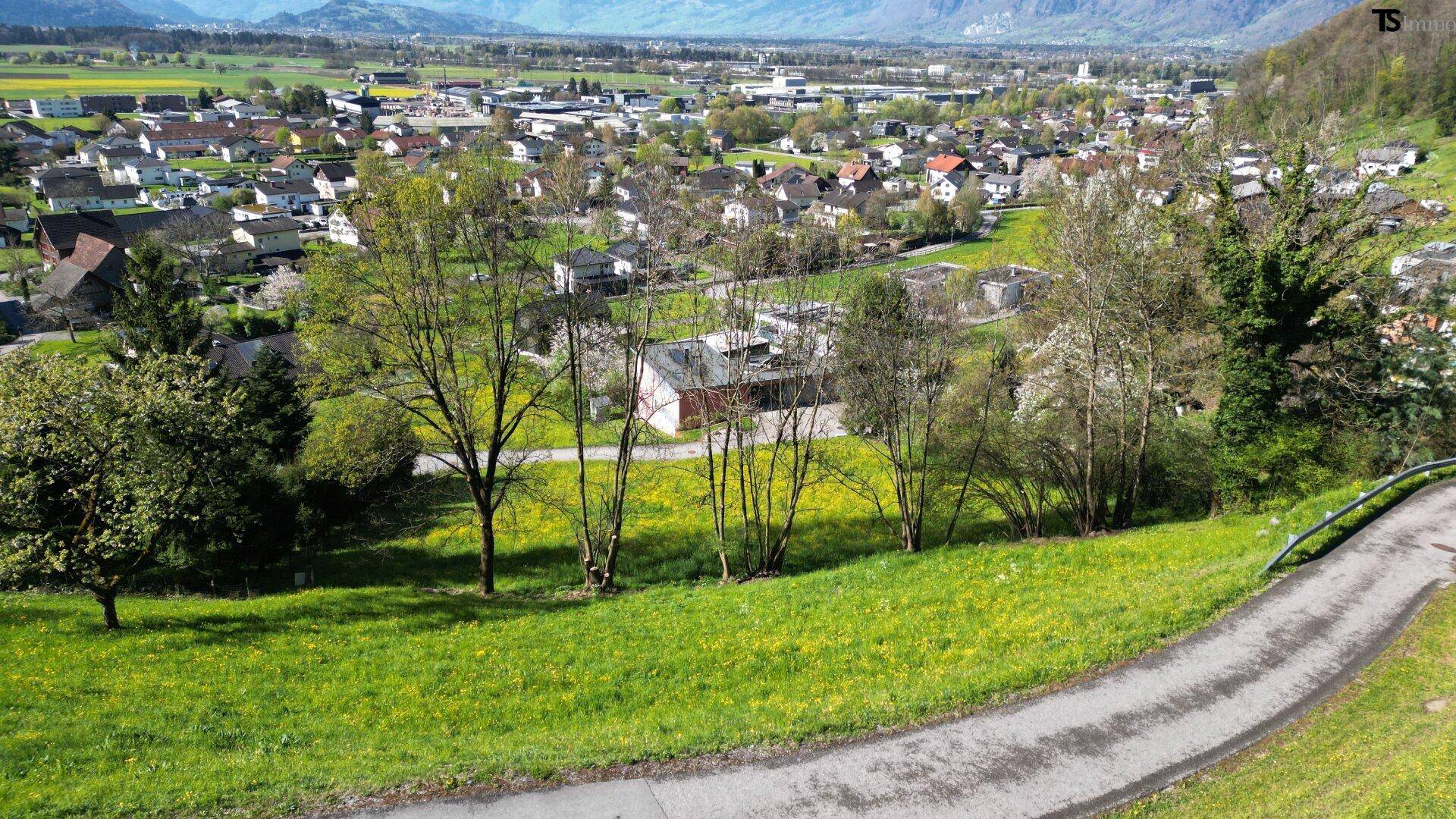 Blick über grüne Hügel und einen Weg auf eine Siedlung mit Bergen im Hintergrund.