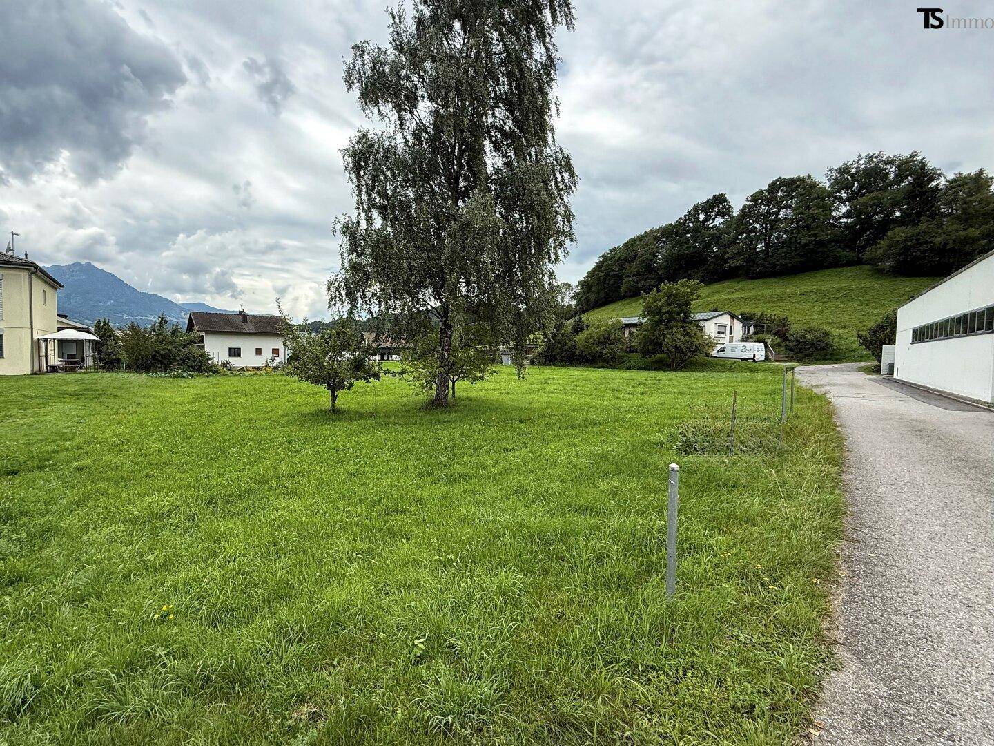 Grüne Wiese mit altem Baum und Blick auf umliegende Häuser und Berge.