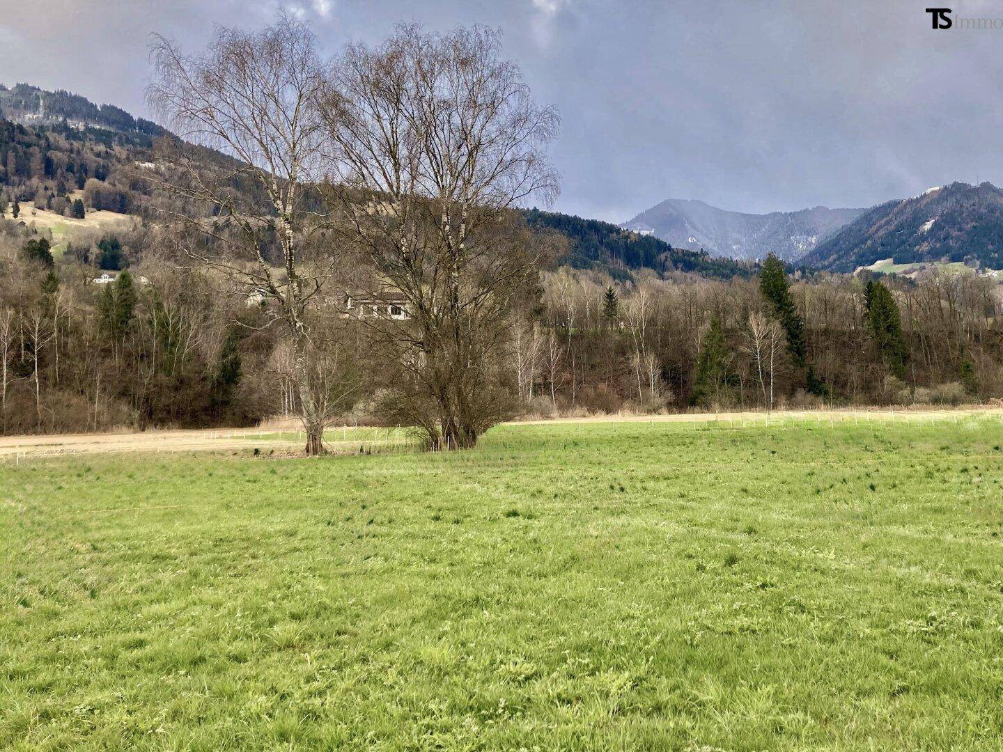 Nenzing Heimat - Grenze zu Frastanz: Sonniges Grundstück 600 m² – unverbaubare Aussicht inklusive - Ansicht 2