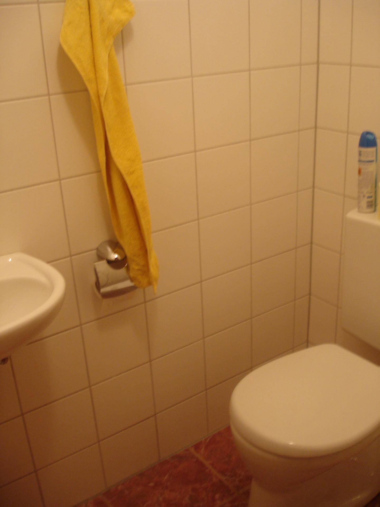 Kleines Gäste-WC mit Toilette, Waschbecken und hell gefliesten Wänden.