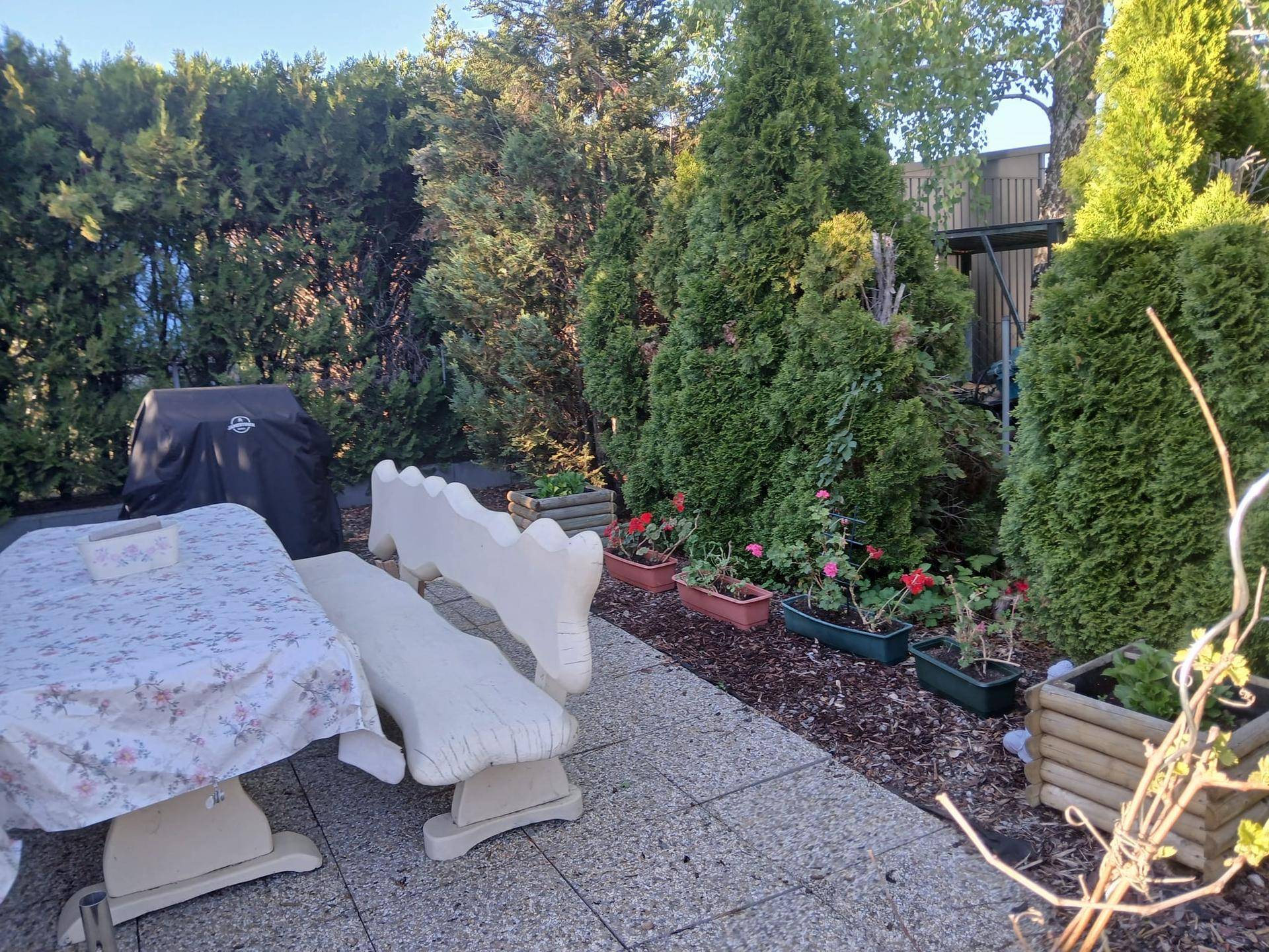 Nachmieter gesucht – Pachtgarten mit umfangreicher Ausstattung - Ansicht 4
