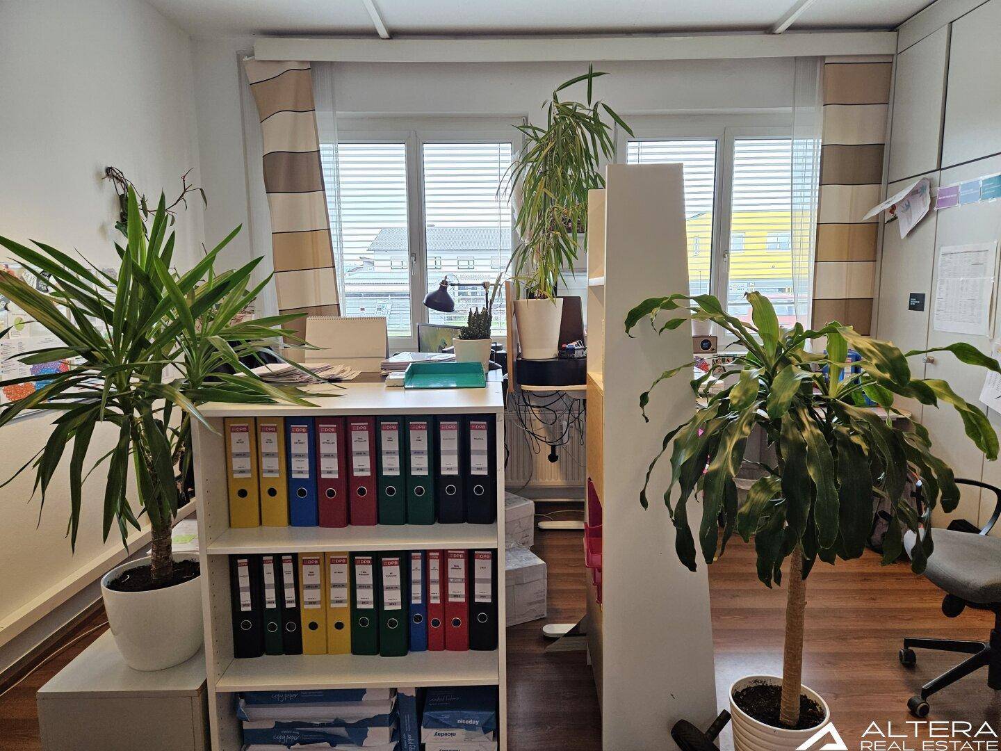 Feldkirchen bei Graz! - Büroflächen mit ca. 400m² samt befahrbarem Keller ca. 900m² mit LKW's und überdachte Freiflächen-Box ca. 120m² - Ansicht 4
