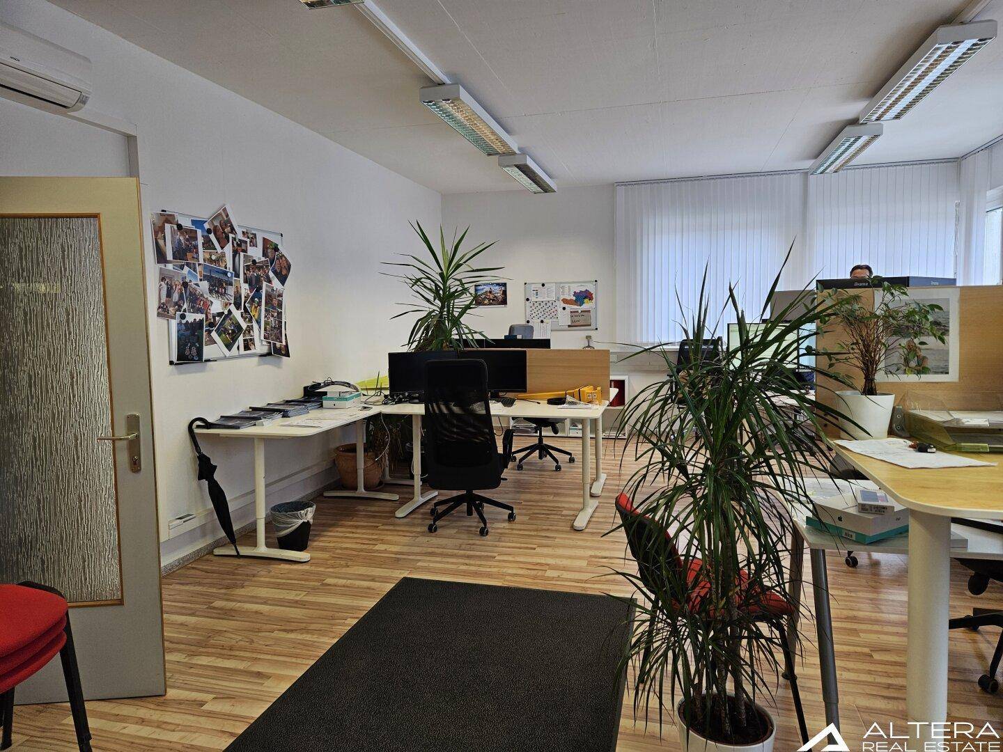 Feldkirchen bei Graz! - Büroflächen mit ca. 400m² samt befahrbarem Keller ca. 900m² mit LKW's und überdachte Freiflächen-Box ca. 120m² - Ansicht 5