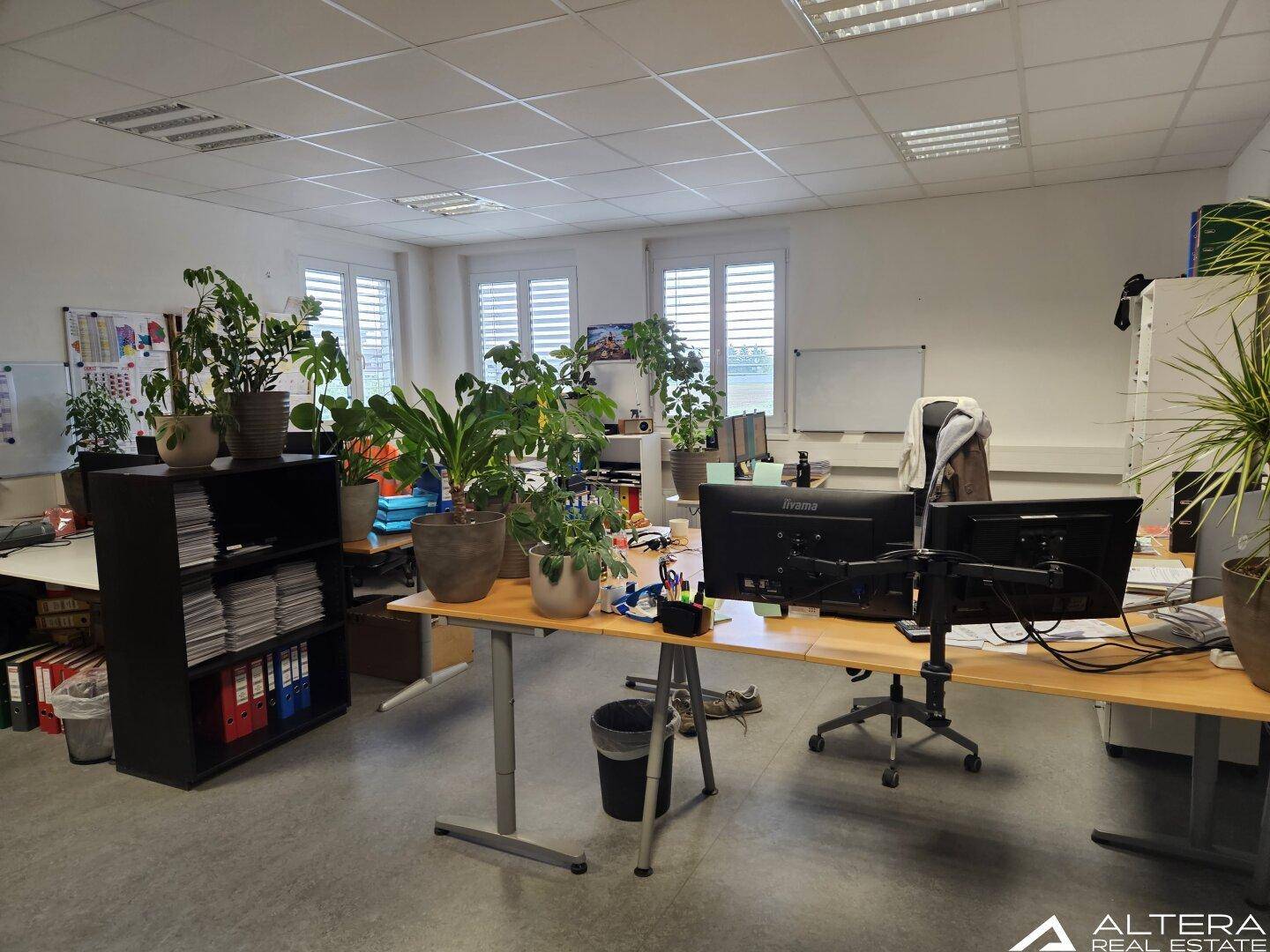 Großes Büro mit vielen Pflanzen, mehreren Arbeitsplätzen und Fenstern mit Jalousien.