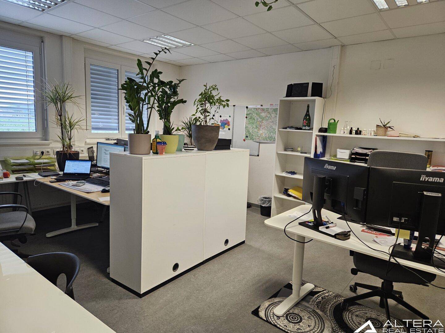 Funktionales Büro mit mehreren Arbeitsplätzen, Pflanzen und Regalen für Stauraum.