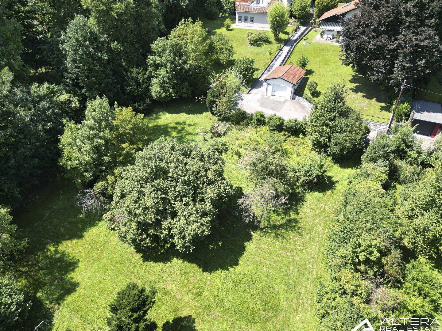 Panoramablick von oben auf ein großes, sonniges Grundstück mit viel Grün und vereinzelten Bäumen.