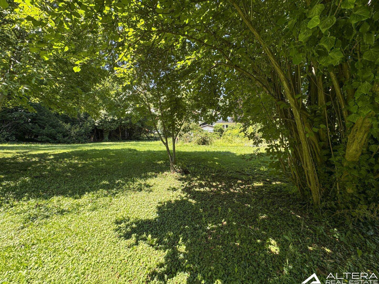 Idyllischer Gartenbereich mit dichtem Baumbestand und einer weitläufigen Rasenfläche im Sonnenlicht.