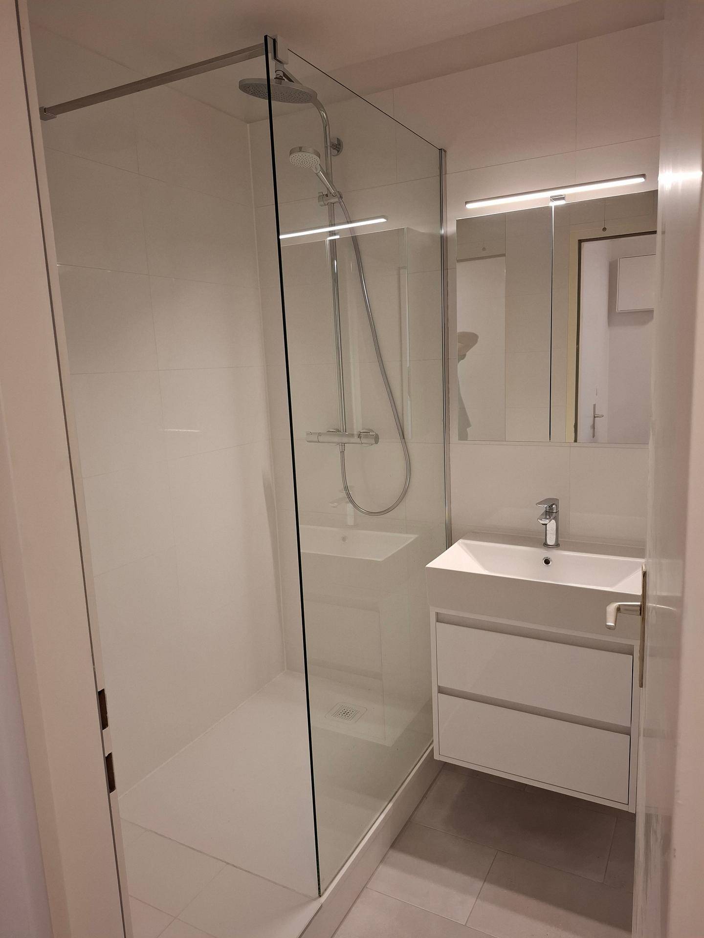 Modernes Badezimmer mit großer begehbarer Dusche, Einzelwaschbecken und Spiegelschrank.