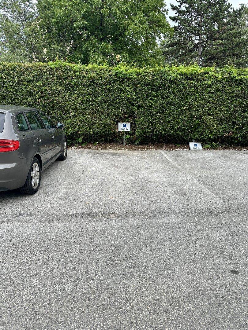 Graues Auto auf einem Parkplatz im Freien, begrenzt von einer dichten grünen Hecke.