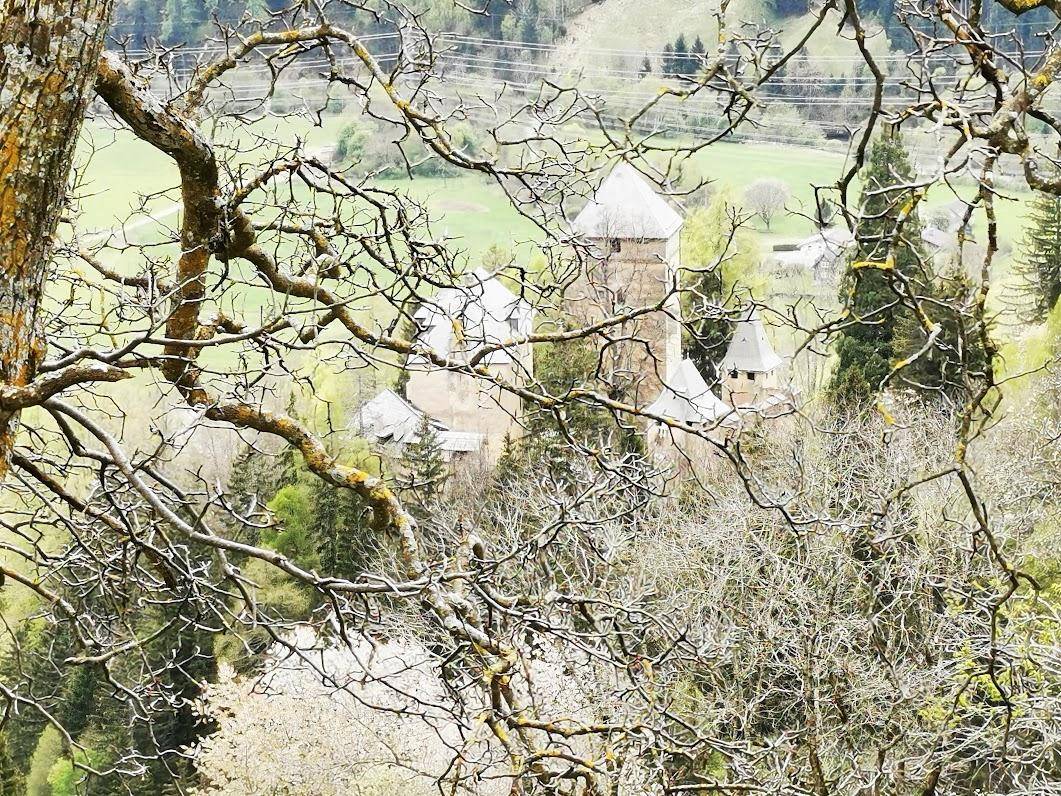 Historisches Gebäude mit Türmen, umgeben von Bäumen und grüner Landschaft, aus der Ferne betrachtet.