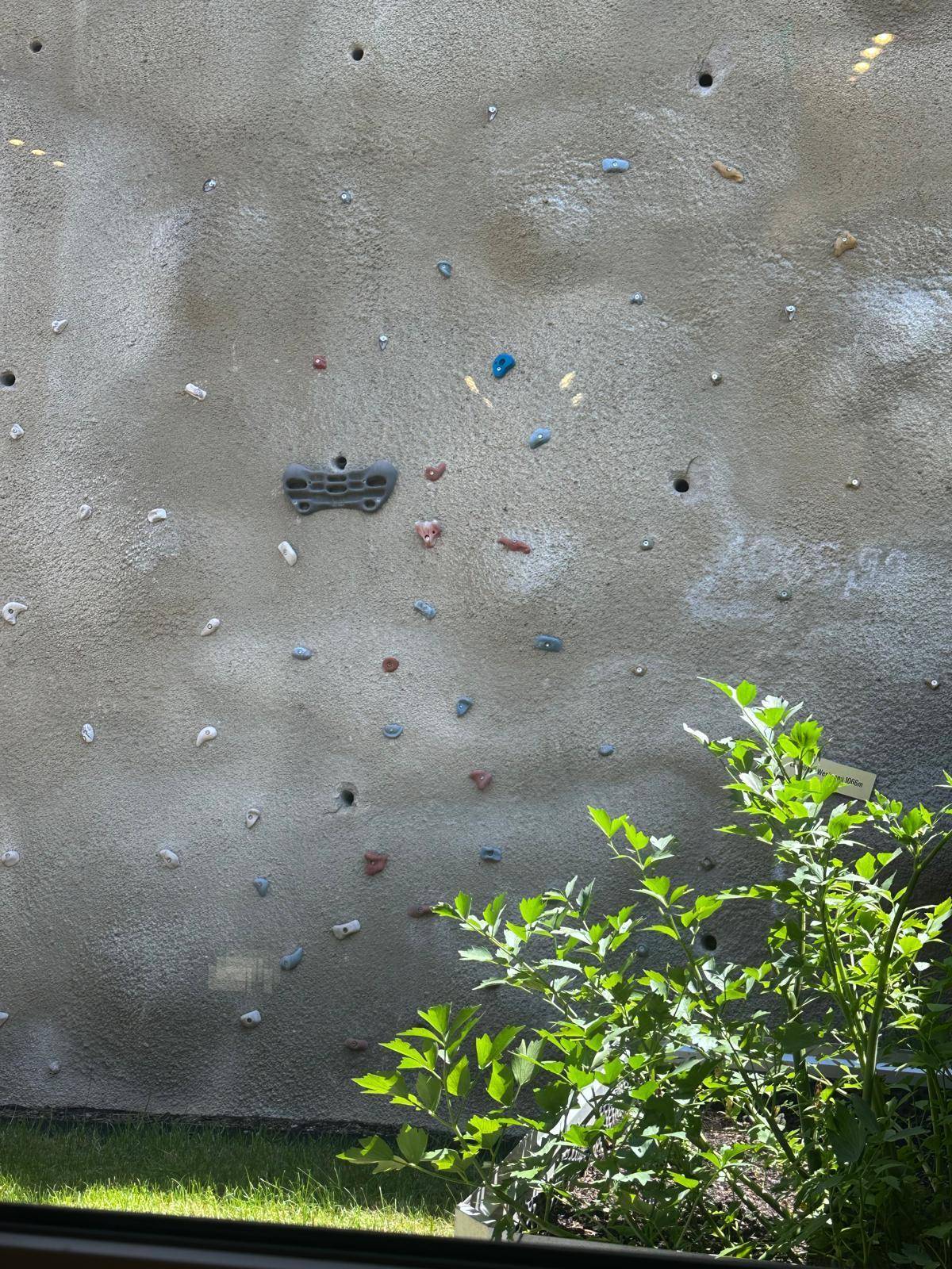 Kletterwand im Außenbereich mit Pflanzen und natürlichem Licht, ideal für sportliche Betätigung.