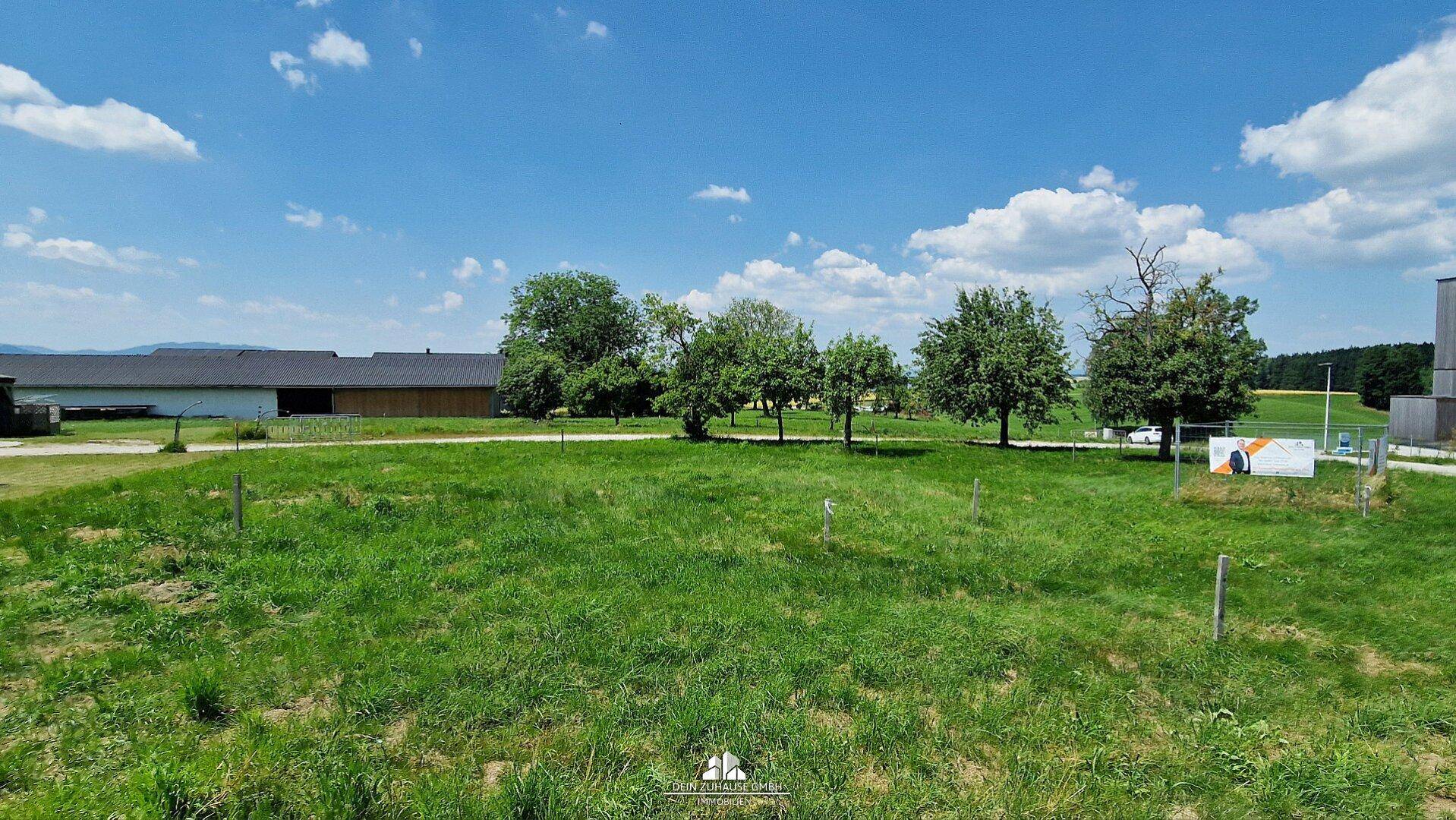 Weitläufige grüne Landschaft mit Bäumen und ländlicher Umgebung unter blauem Himmel.