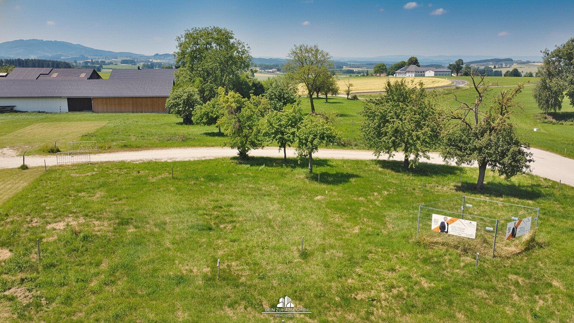Panoramablick über grüne Felder und Hügel mit vereinzelten Bäumen und ländlicher Bebauung.